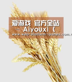 爱游戏 官方全站 - Aiyouxi（中国）综合服务平台