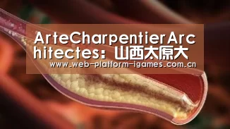 爱游戏入口