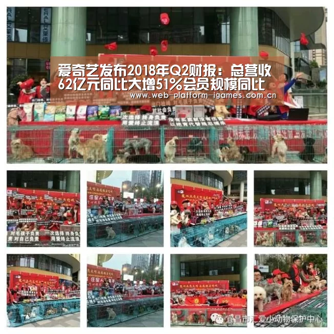 爱游戏入口